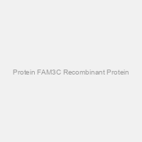 Protein FAM3C Recombinant Protein